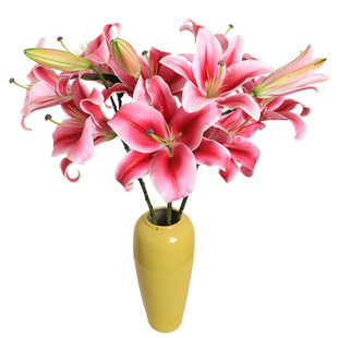 香水百合花鲜花云南基地直发玫瑰康乃馨向日葵水养鲜切花家用插花