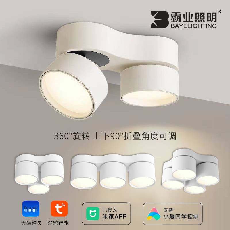 明装筒灯可调角度客厅无主灯双头三头涂鸦智能三色变光吸顶斗胆灯