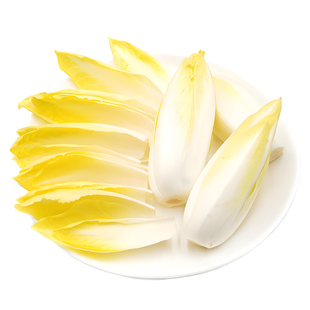 金玉兰菜种子四季多年生软化兰菊苣种子籽阳台盆栽白玉兰蔬菜种籽