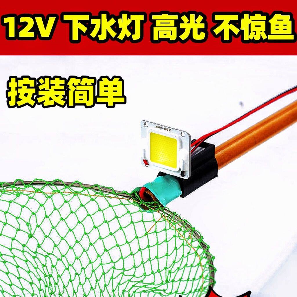 水下照鱼专用灯水下灯12v耐用强光捕鱼灯新款下水灯超亮防水散光