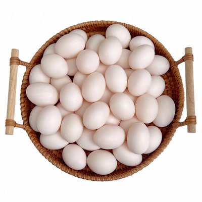 正宗新鲜鸽子蛋杂粮喂养宝宝辅食