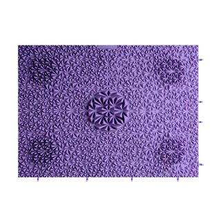 李宁指压板足底按摩垫家用脚底穴位按摩器接亲趾压板儿童统感训练