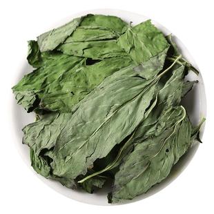 薄荷叶新鲜食用薄荷叶泡茶薄荷叶干商用干薄荷叶中药烘焙薄荷茶