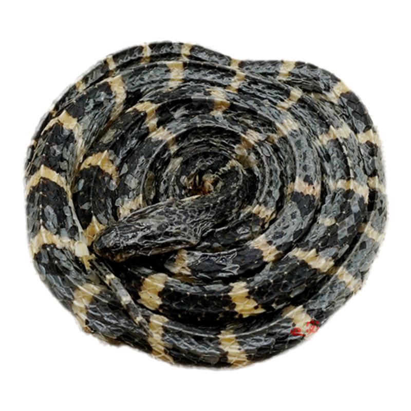 白花蛇中药材金钱白花蛇大白花蛇银环蛇正品整条包邮另有蝎子蜈蚣