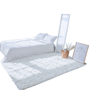 北欧ins风卧室地毯少女白色长毛地垫床边毯满铺毛绒飘窗毯撸猫感