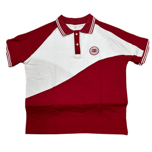 郫都区龙吟小学短袖上衣校服红色拼接白色夏藏蓝色短裤运动套装