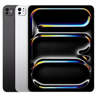 Apple/苹果 11 英寸 iPad Pro - 标准玻璃面板