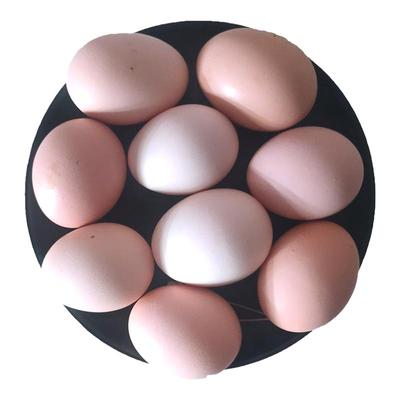 土鸡蛋正宗农家散养新鲜柴鸡蛋
