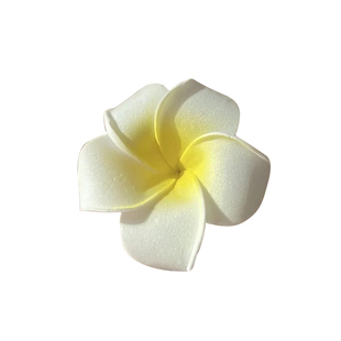 鸡蛋花耳边发夹2025新款高端花朵抓夹海边发饰边夹女侧边夹子头饰