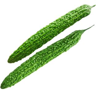 春季苦瓜种子长绿苦瓜油绿苦瓜种籽种易种蔬菜种子家庭阳台盆栽种