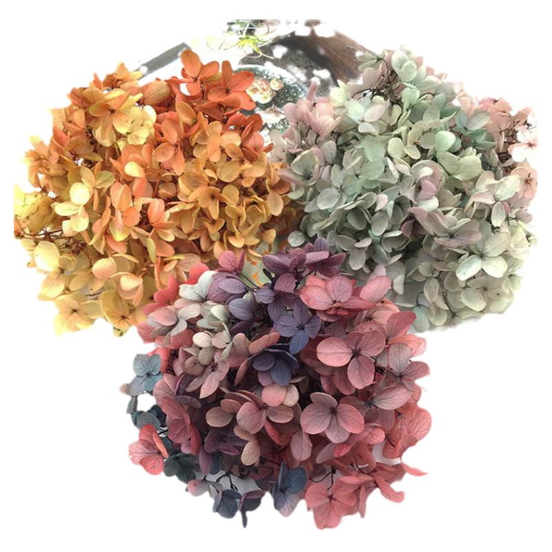 花掌柜A级永生花绣球花瓣diy材料小叶绣球手工制作相框暴力熊玩偶