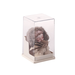 光织园挂件展示盒SP搪胶娃娃盲盒收纳盒透明单个labubu防尘手办柜