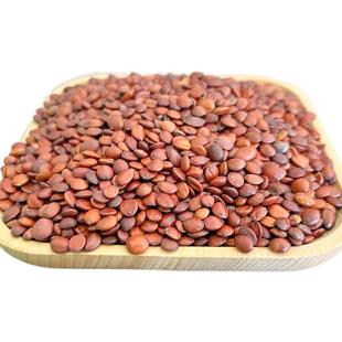 酸枣仁河北邢台正宗产地中药材正品野生酸枣仁粉茶可生熟250g