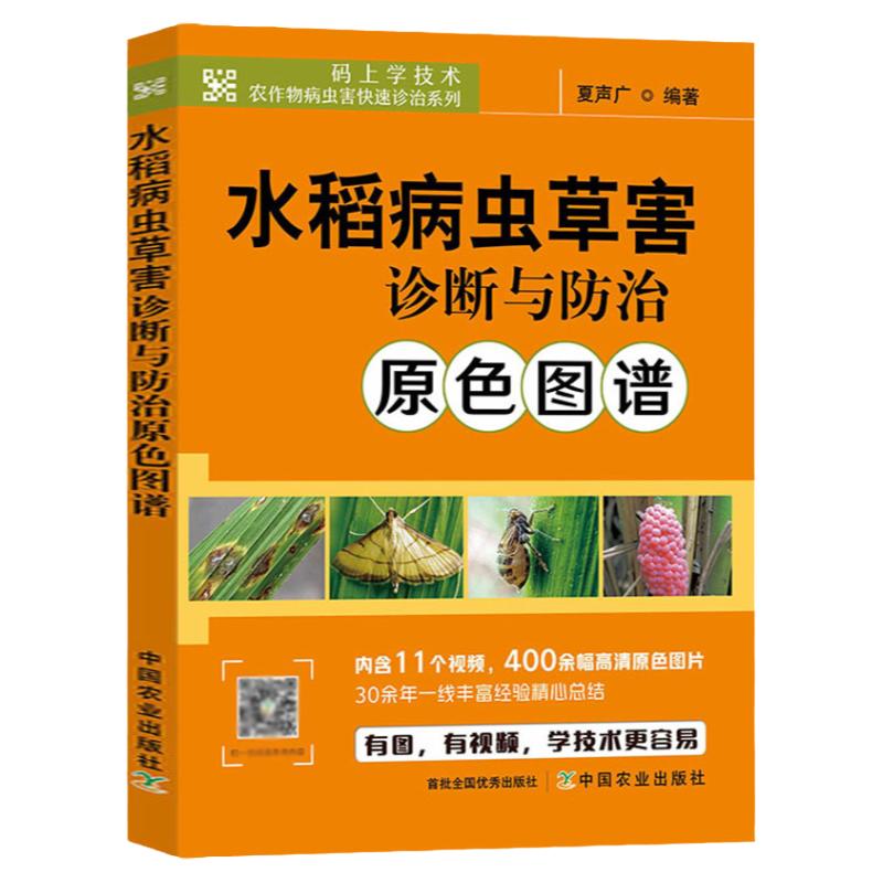 水稻病虫草害诊断与防治原色图谱 水稻栽培种植技术书籍杂交水稻病虫害防控稻麦病虫害防控技术稻田农作物病虫害诊治技术书籍
