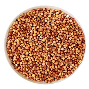 新货红高粱糯高粱带皮酿酒磨面喂鸽子鸟类粮食未脱皮乔迁结婚高粱