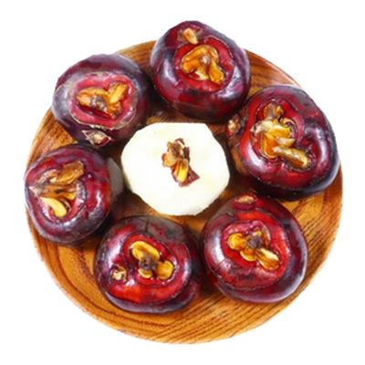 【2025新果】现挖马蹄新鲜荸荠