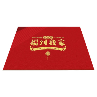 免洗入户门地垫PVC过道玄关脚垫室内家用门口门垫厨房防滑垫子毯