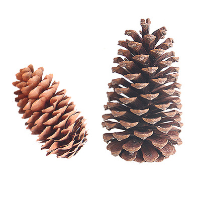 手工diy儿童摆件幼儿园