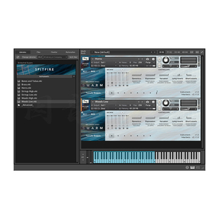 喷火小型室内管弦乐群奏音源Spitfire Orchestral Swarm轻量重奏