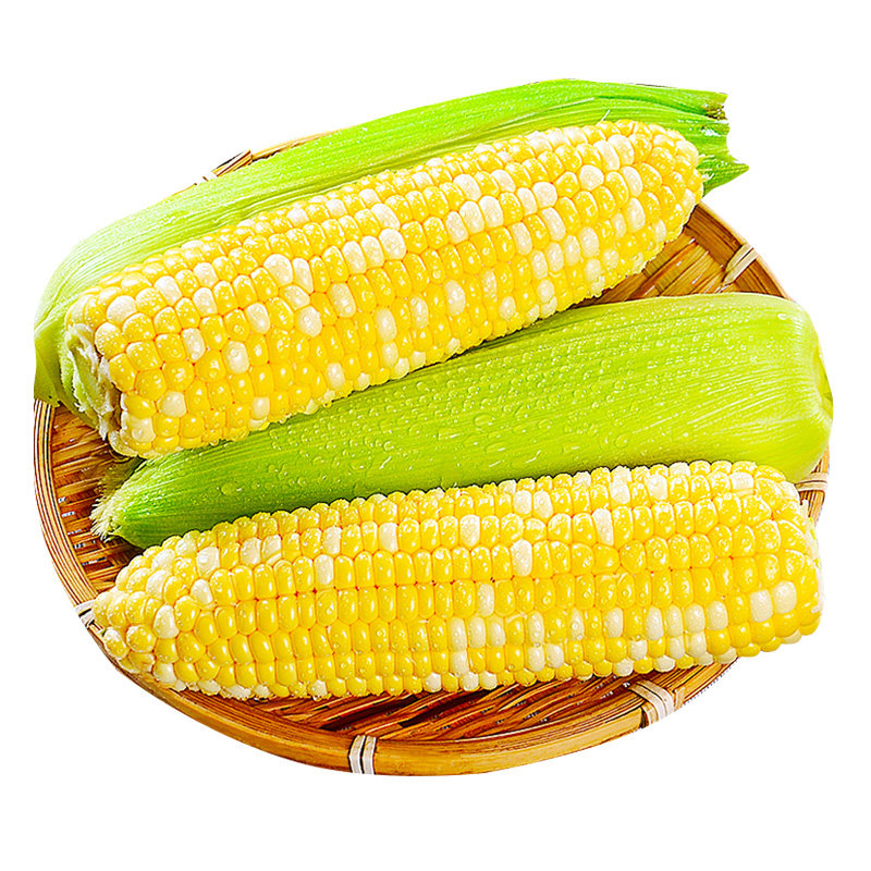 2025新鲜水果玉米现摘当季整箱甜玉米棒子苞谷粒花糯玉米蔬菜现摘