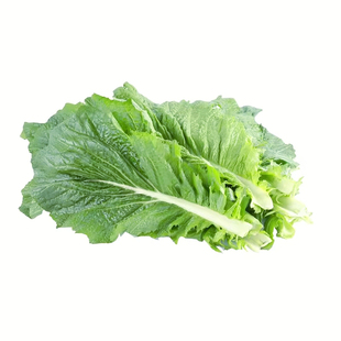 四季芥菜种子大全特大广东大叶大厚肉大哈春菜种孑包心甜芥菜种籽