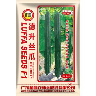 和利农正源德升丝瓜种子杂交早熟角瓜种籽子农家高产蔬菜棱丝瓜孑