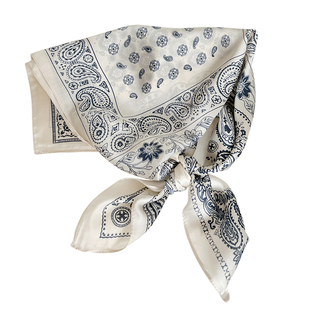 老钱风复古时髦腰果花丝巾女春秋高级感百搭包头方巾发带系脖领巾