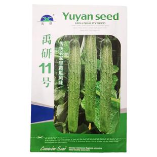 传统东北旱黄瓜种子清香脆甜禹研11露地保护地春季早熟黑刺结瓜多