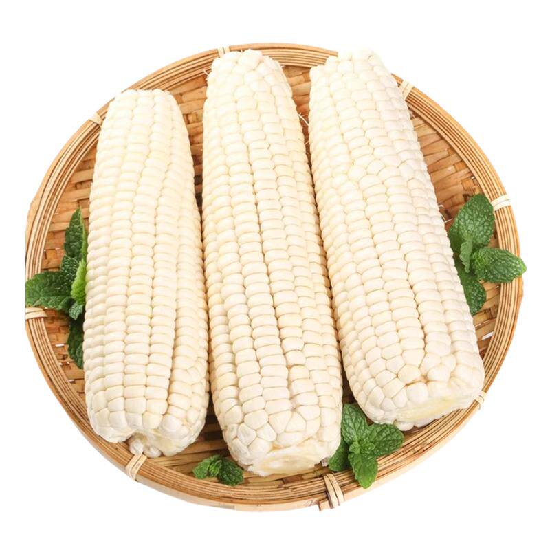 广西新鲜白糯玉米甜糯牛奶蔬菜