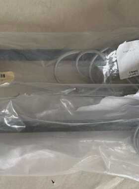 Ecolab Sauglanze SGL VCPVFP99GL00-G3/8-06-2SS-0540-99-51 / 2