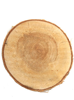 旧时光美式乡村风格橱窗店面复古装饰原木木片，老松木道具摆件