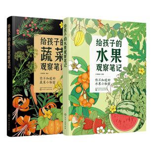 全2册 给孩子的果蔬观察笔记 小澈麻麻3-6-8岁艺术插画自然科普蔬菜水果观察笔记 小学生课外阅读科普绘本百科书 小学兴趣培养观察