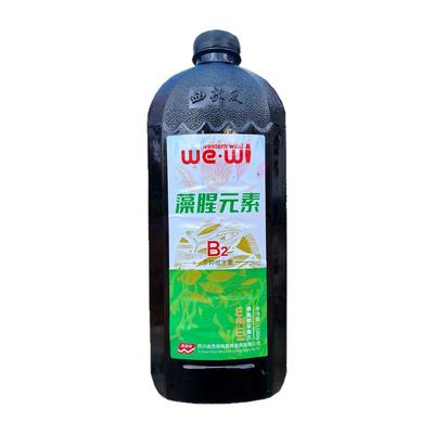 西部风B2藻腥元素酒米鲫鱼食底窝