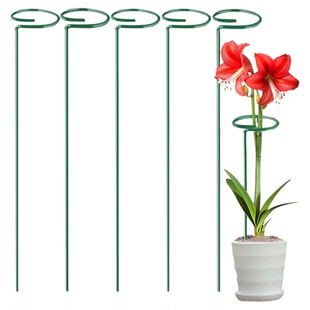 植物防倒伏支架铁艺绣球吊兰爬藤花架园艺支撑杆朱顶红护花固定架