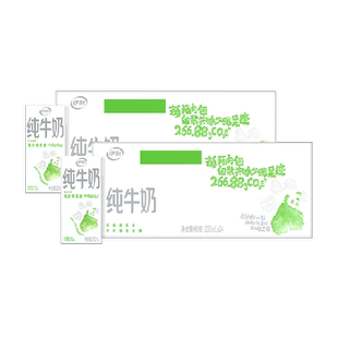 【年货礼盒】伊利纯牛奶200ml*24盒*2箱/整箱优质乳蛋白早餐奶