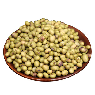 农家绿皮自种五斤新黄豆散装小黄豆新鲜发豆芽打豆浆专用5笨2025