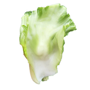 四川奶奶菜新鲜现采青菜梗包包青菜做泡菜用农家芥菜泡沫箱装包邮