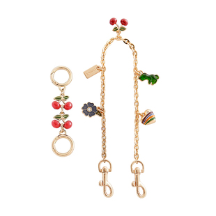 臻饰匠心坊适用于coach蔻驰水桶包rowan22延长链条加长肩带装饰链