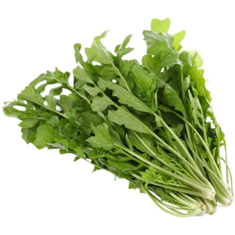 秦岭野生荠菜新鲜地菜现挖荠荠菜