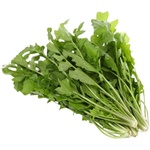 陕西秦岭野生荠菜现挖新鲜荠荠菜地菜野菜非冷冻饺子馅4斤5斤包邮