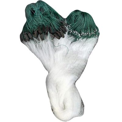 粘白条小鱼网麦穗马口鲫鱼