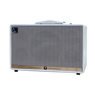 雅米专业级250W音响吉他弹唱K歌直播电吹管内录声卡户外蓝牙音箱