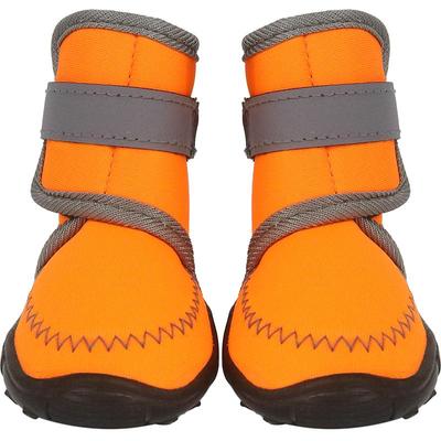 金毛萨摩耶中大型犬防掉狗狗鞋子