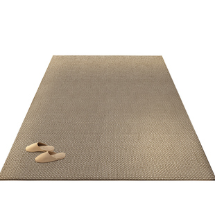 2026新款高级入户门进门门口地垫现代简约风玄关口地垫可定制地垫