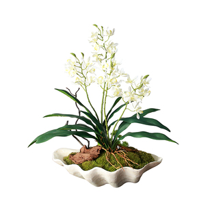 形上中古“贝壳盛幽兰”仿真苔藓盆景商业空间酒店大堂花艺摆件