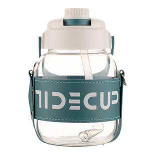 玻璃杯大容量耐高温水杯2024新款女高颜值高硼硅大肚吸管杯子男生