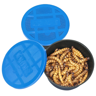 大麦虫活虫黄粉虫鲜活面包虫乌龟仓鼠金龙鱼画眉八哥鸟食活体虫子