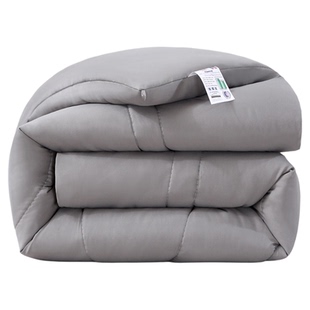 冬季被子冬被棉被学生宿舍单双人加厚保暖丝绵春秋被芯空调秋凉被