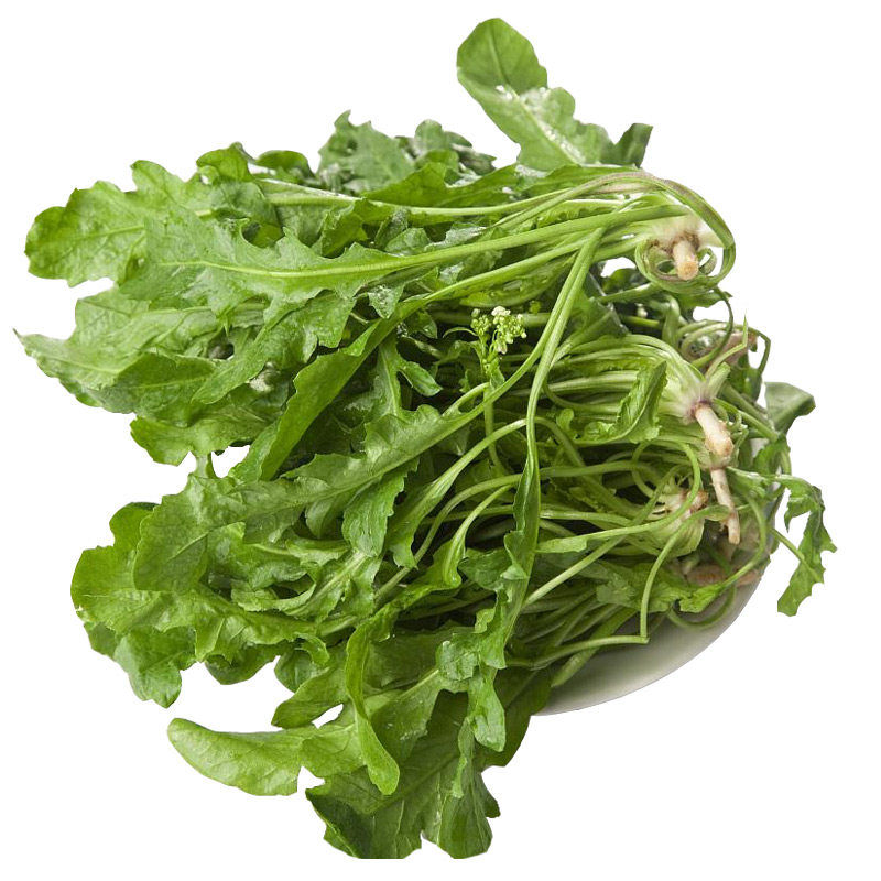 荠菜种子老品种四季蔬菜种籽
