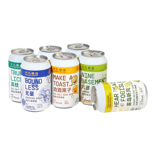 大九酿造官方国产精酿啤酒混搭流体精品易拉罐进口水果果啤鲜啤